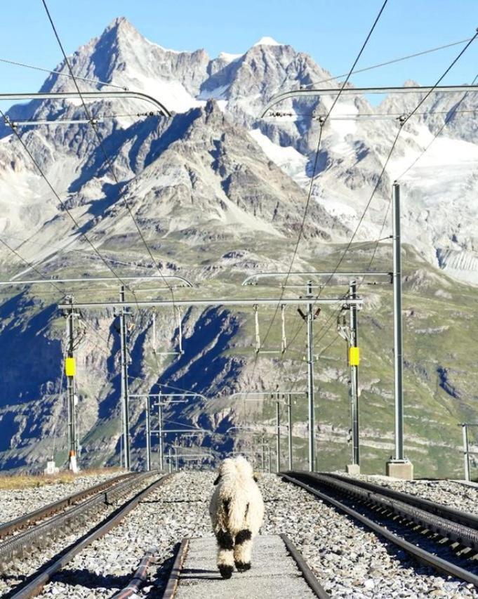 3100 Kulmhotel Gornergrat 3*
